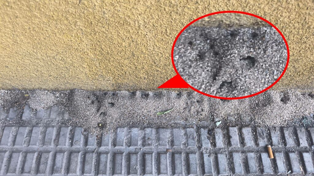Aumenta el número de ratas por el barrio de El Pilar