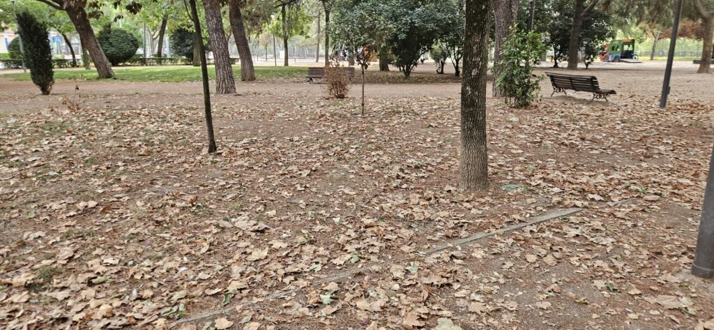 El parque Joaquín Benito de Lucas, reflejo del abandono