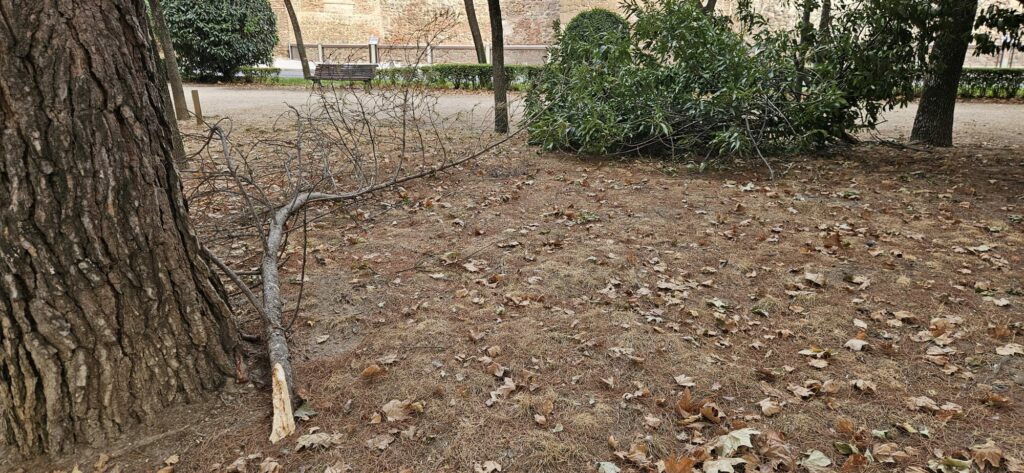 El parque Joaquín Benito de Lucas, reflejo del abandono