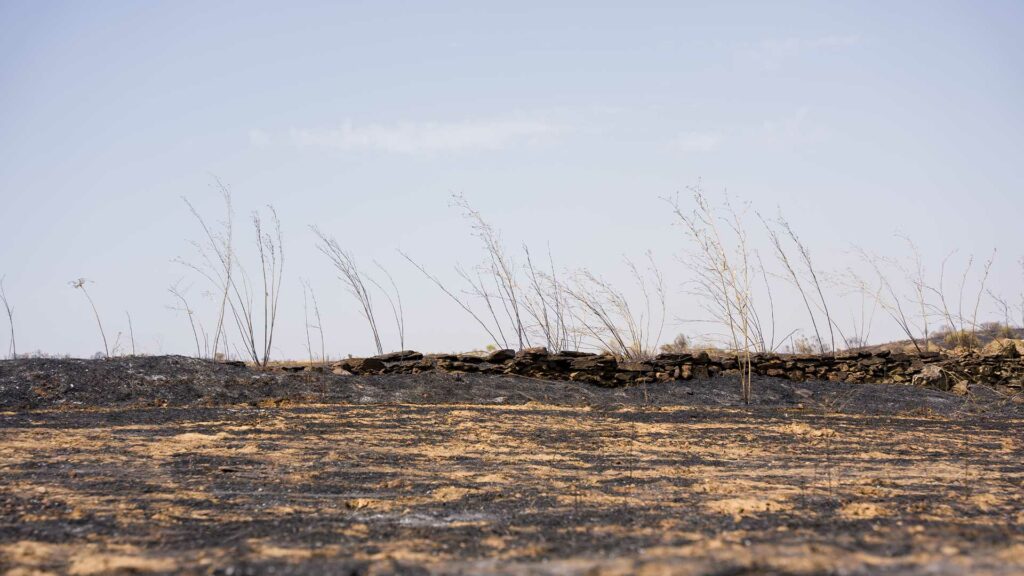 Primera evaluación de daños tras el incendio en Navalmoralejo y La Estrella
