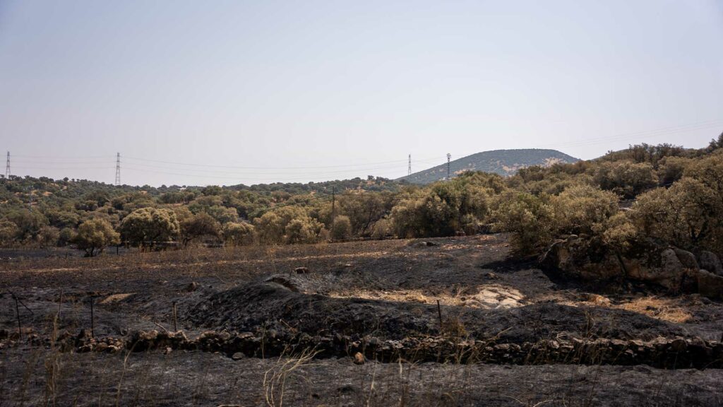 El incendio de Navalmoralejo sigue en Nivel 2
