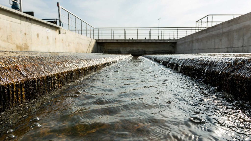 Talavera: un proyecto internacional de 4.5 millones de euros