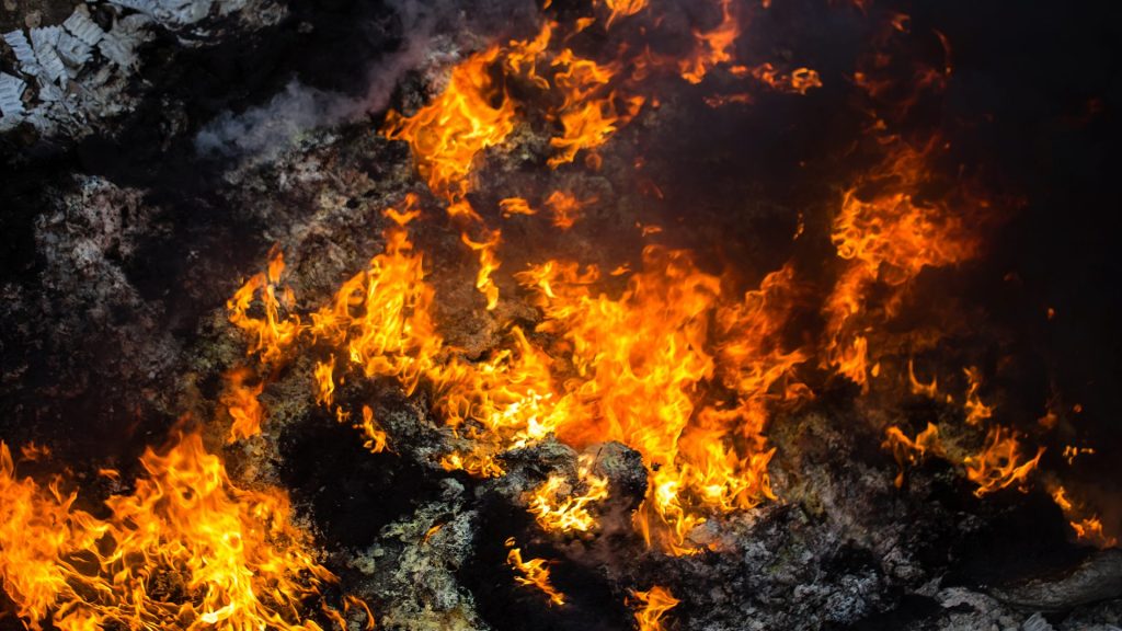 Detenido el presunto autor de un incendio en la ribera del Tajo durante las fiestas de San Mateo