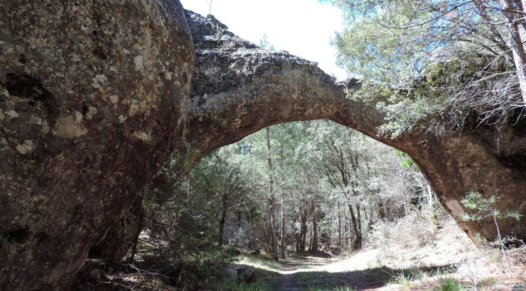 Rambla del Avellano, una joya natural del Alto Tajo