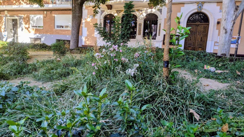 El abandono de la Plaza de El Salvador: la otra cara del “buen aspecto”