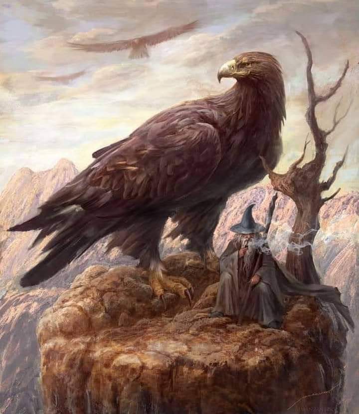 El águila de El Señor de los Anillos que puedes ver en el entorno de Talavera