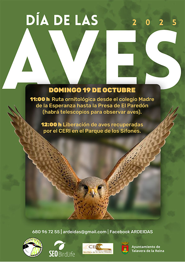 Talavera celebrará el Día de las Aves el 19 de octubre