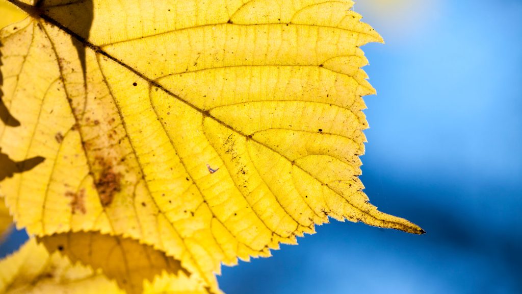 Talavera vive un otoño templado