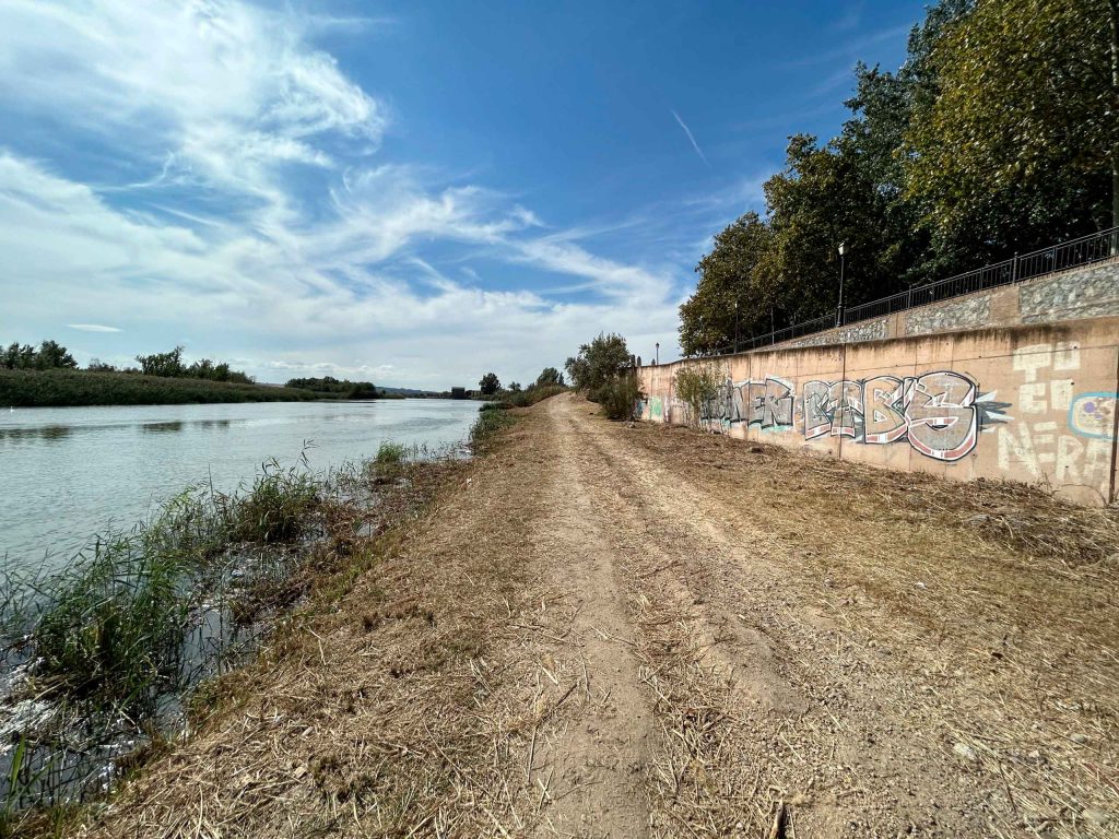 Talavera recupera más de cinco hectáreas de ribera