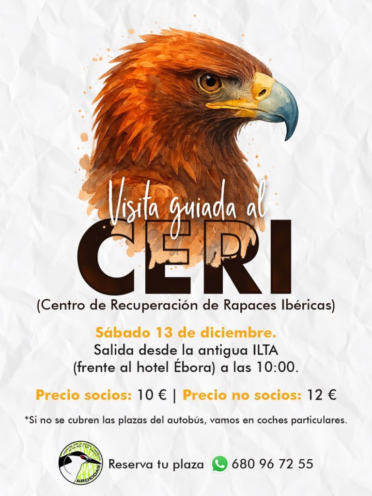 Visita guiada al CERI