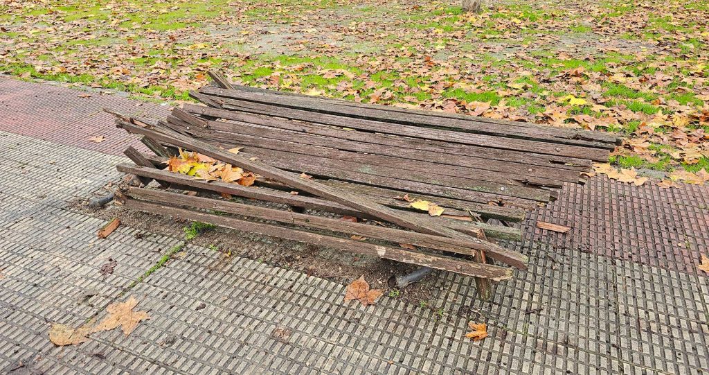 ¿Acto vandálico o consecuencia de una rama caída?