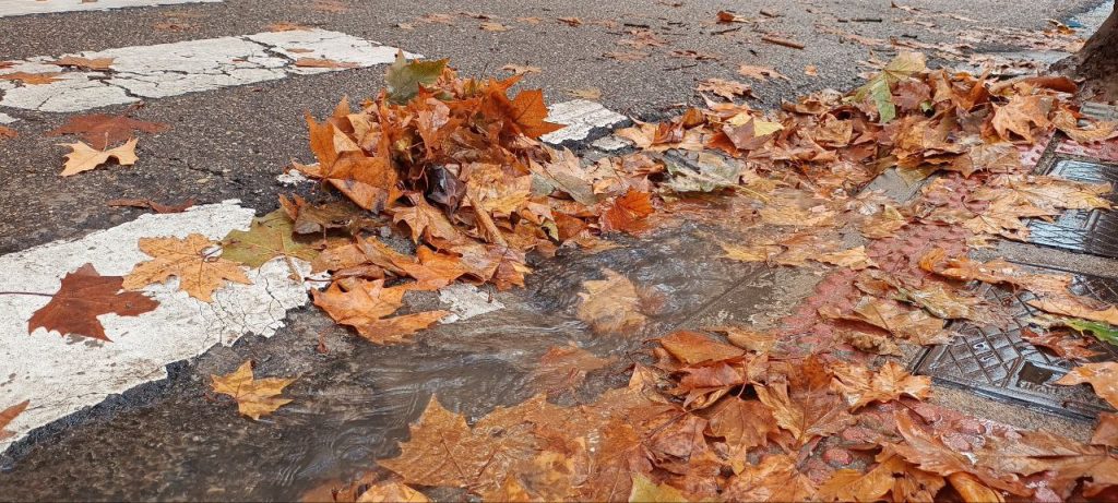 Incidencia en la Calle Carnicerías: una tubería rota provoca una fuga de agua