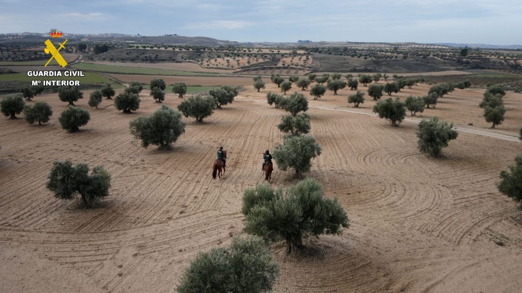 Guardia Civil: vigilancia durante la campaña de recogida de aceituna