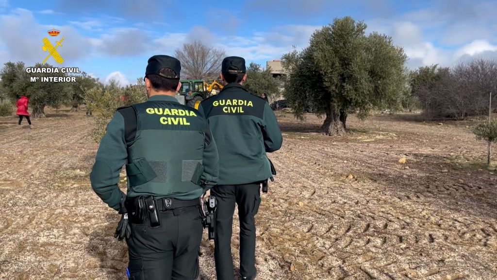 Guardia Civil: vigilancia durante la campaña de recogida de aceituna