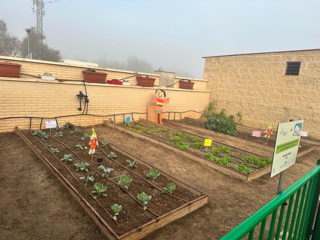 Huertos escolares ecológicos con 25.000 euros en ayudas