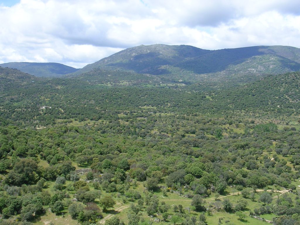 Rincones imprescindibles para visitar de la Sierra de San Vicente