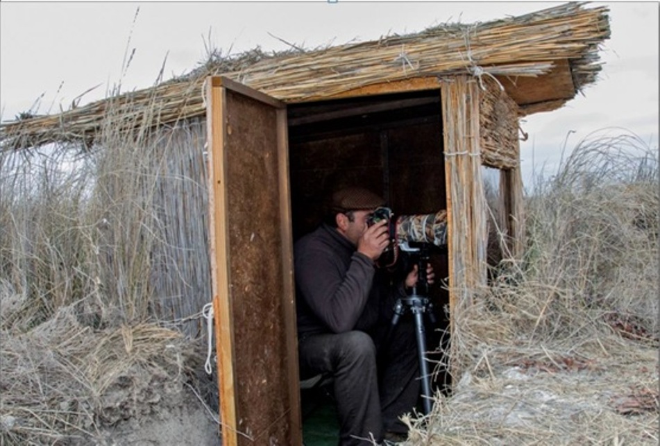 La Campana de Oropesa con nuevos hides para la observación de fauna