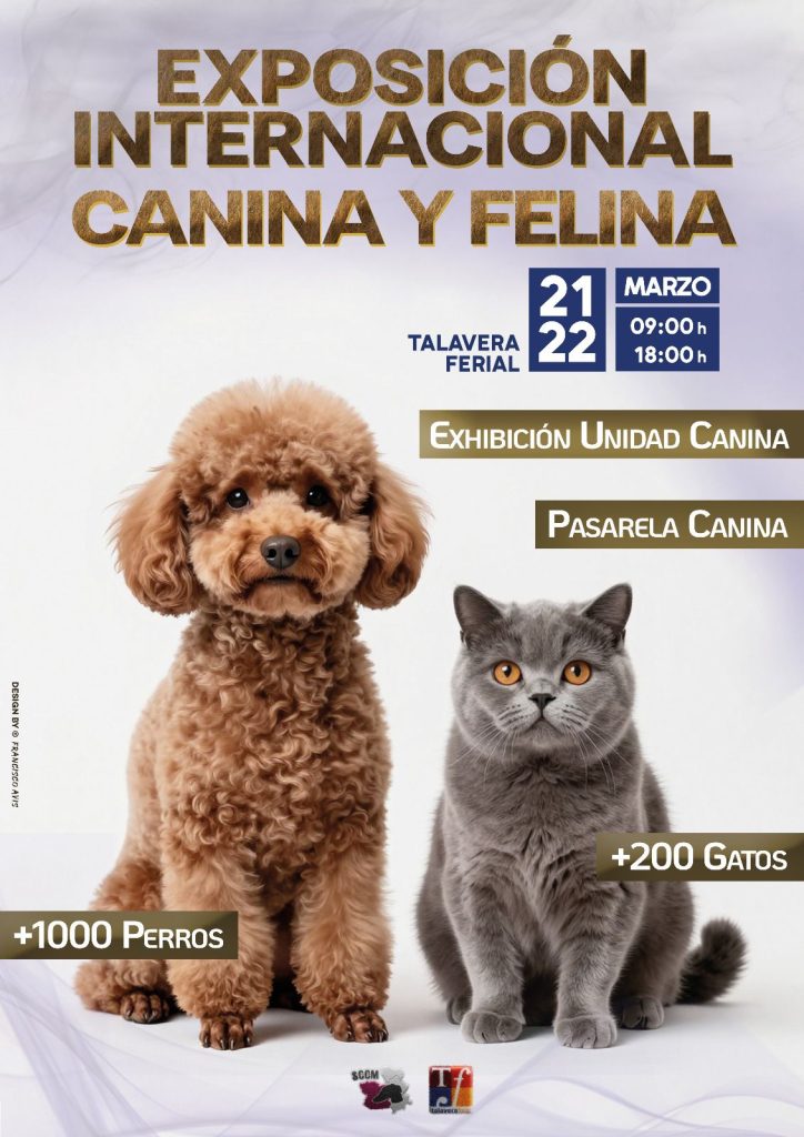 Talavera Ferial acoge este fin de semana la gran Exposición Internacional Canina y Felina