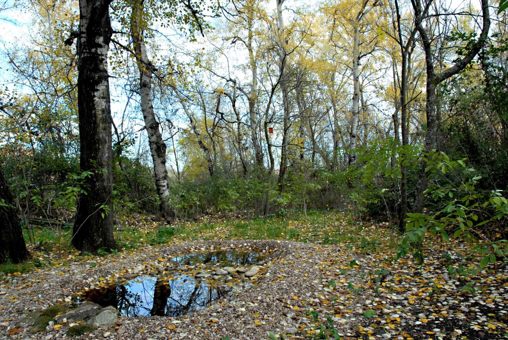 Miguel Ángel Cedenilla: Las joyas de la Reina
