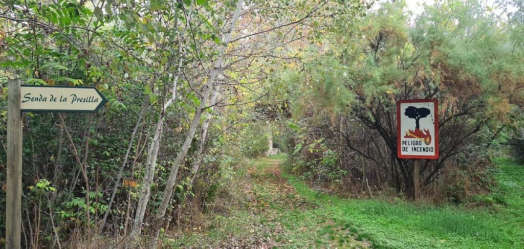 PSOE Talavera: El Gobierno de José Julián Gregorio arrasa con la Isla de los Molinos