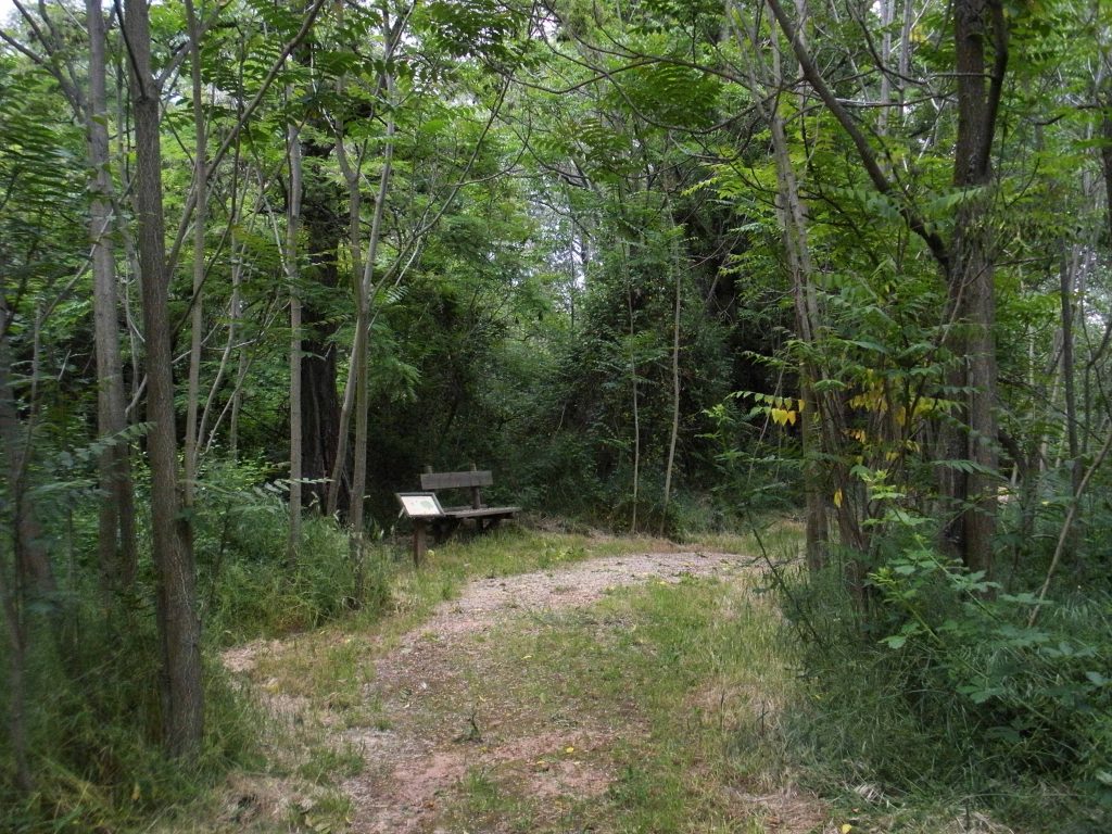 Miguel Ángel Cedenilla: Las joyas de la Reina