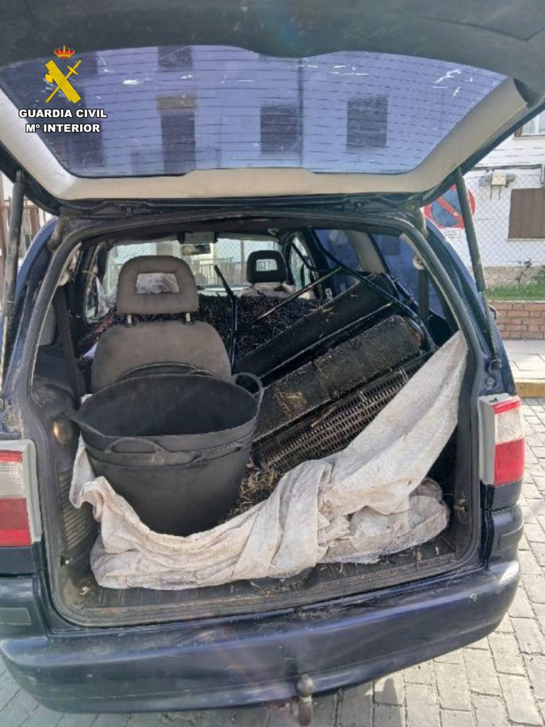 La Guardia Civil detiene a tres personas por el hurto de aceitunas en Val de Santo Domingo