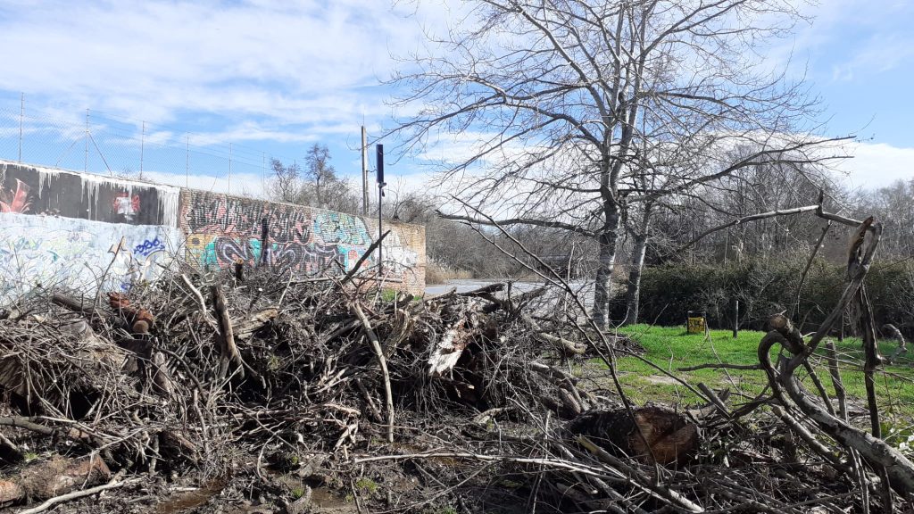 Esparvel denuncia actuaciones sin autorización en la Isla de los Molinos de Arriba y exige su restauración ambiental