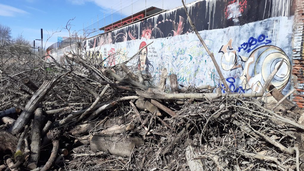 Esparvel denuncia actuaciones sin autorización en la Isla de los Molinos de Arriba y exige su restauración ambiental