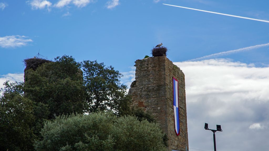 El Gobierno regional invertirá cerca de 50.000 euros en la conservación del Castillo de Mejorada