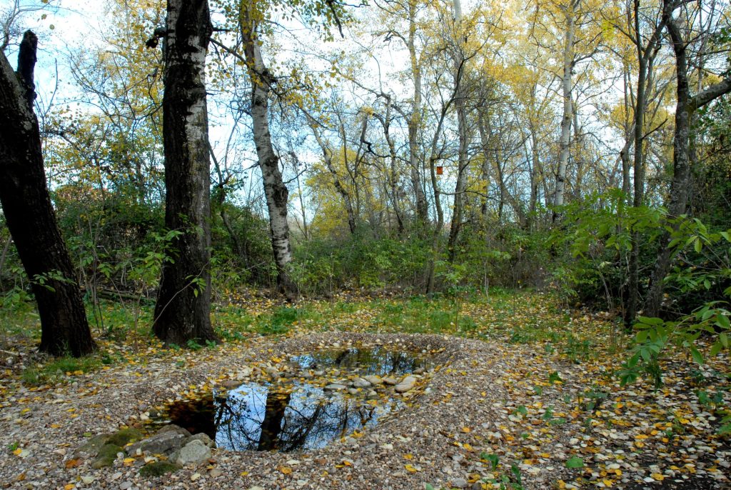 Miguel Ángel Cedenilla: ''De valores y Garzas''