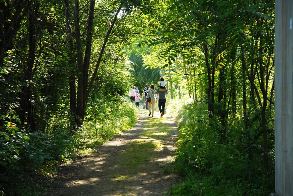 Miguel Ángel Cedenilla: ''De valores y Garzas''