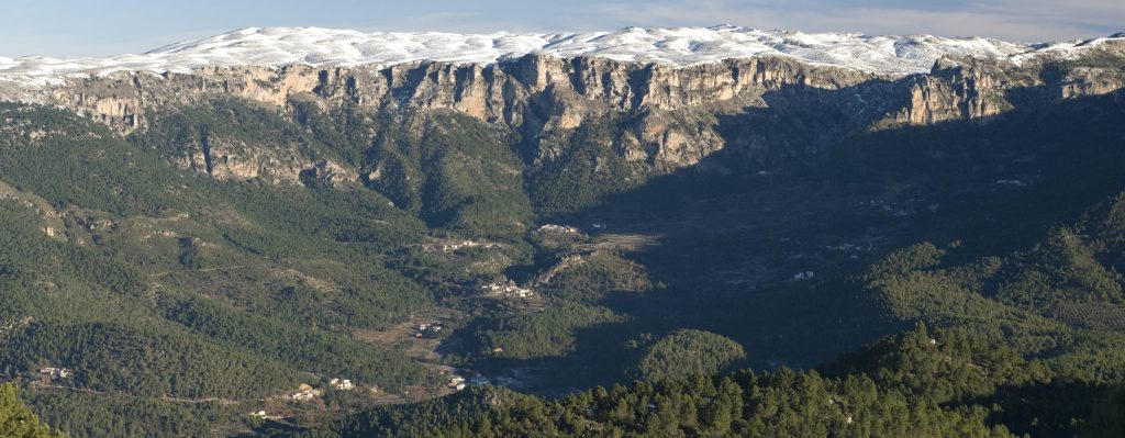 Día Internacional de los Bosques con actividades en siete parques naturales
