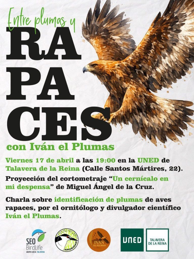 Entre plumas y rapaces: Talavera acoge una cita única para amantes de la naturaleza