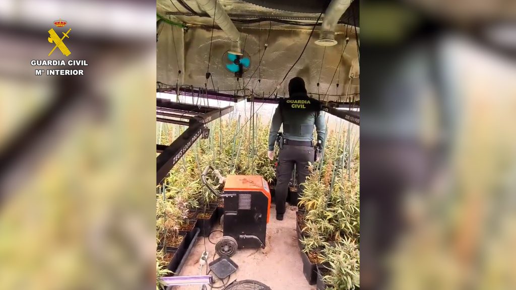 La Guardia Civil desmantela una plantación de marihuana indoor en Hormigos