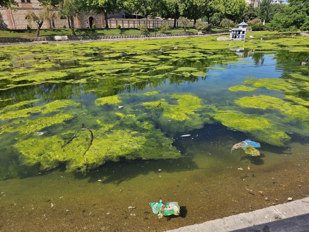 El Lago de la Alameda en Talavera evidencia un deterioro preocupante