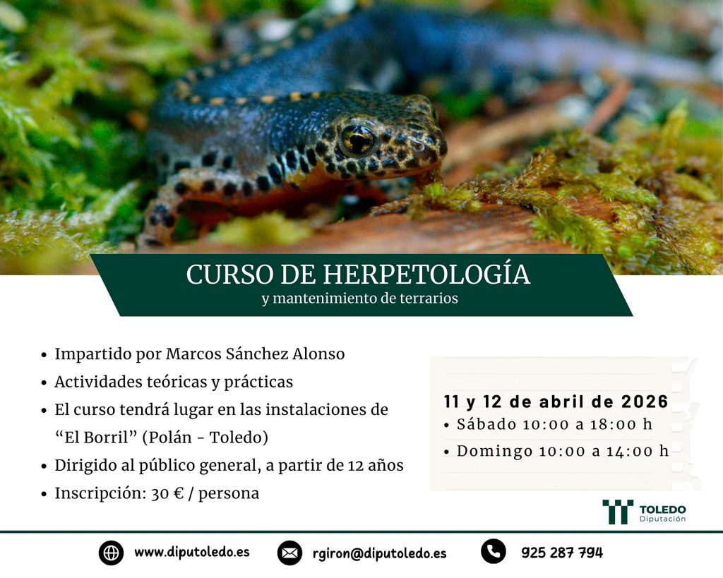 La Diputación de Toledo impulsa un curso sobre anfibios, reptiles y terrarios en la finca El Borril