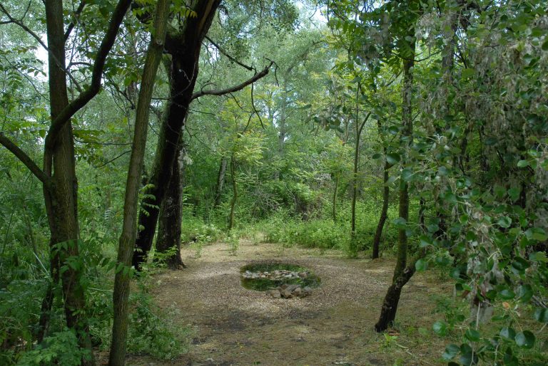 Vegetación de ribera: el valor natural de los bosques que protegen nuestros ríos como el Tajo