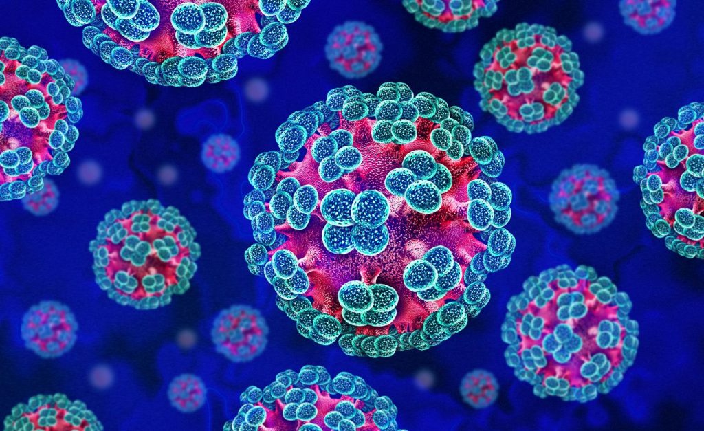 Hantavirus: una enfermedad poco frecuente que vuelve a situar a los profesionales sanitarios en primera línea
