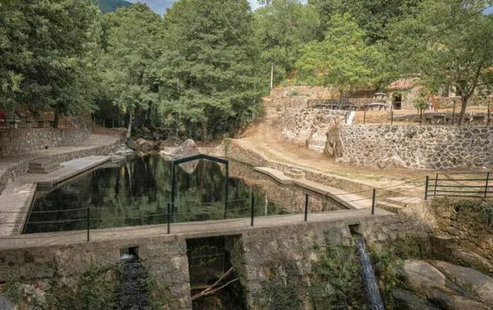 La Abubilla Nature Bar celebra su primera Feria del Vinilo en la Sierra de Gredos