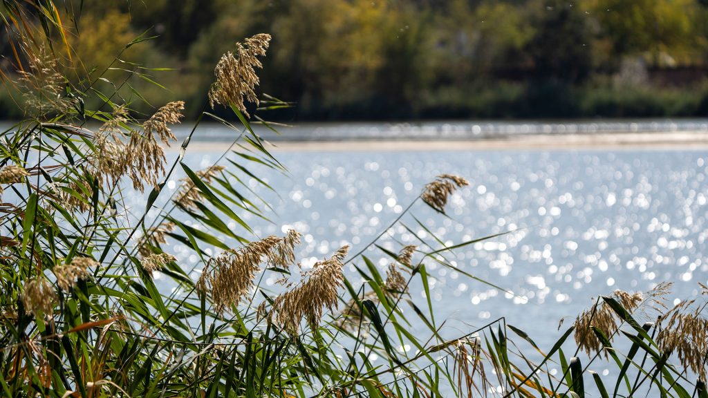 Fin de semana de calor intenso en Talavera, con máximas de hasta 38 grados