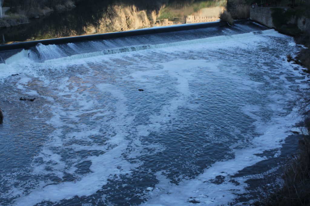 Detectan bacterias resistentes a antibióticos en el tramo medio del río Tajo