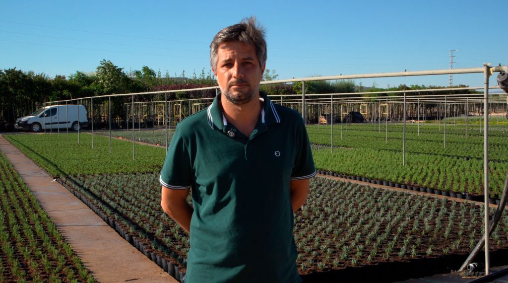 Viveros Peñitas, el vivero talaverano que decoró la visita del Papa en Madrid