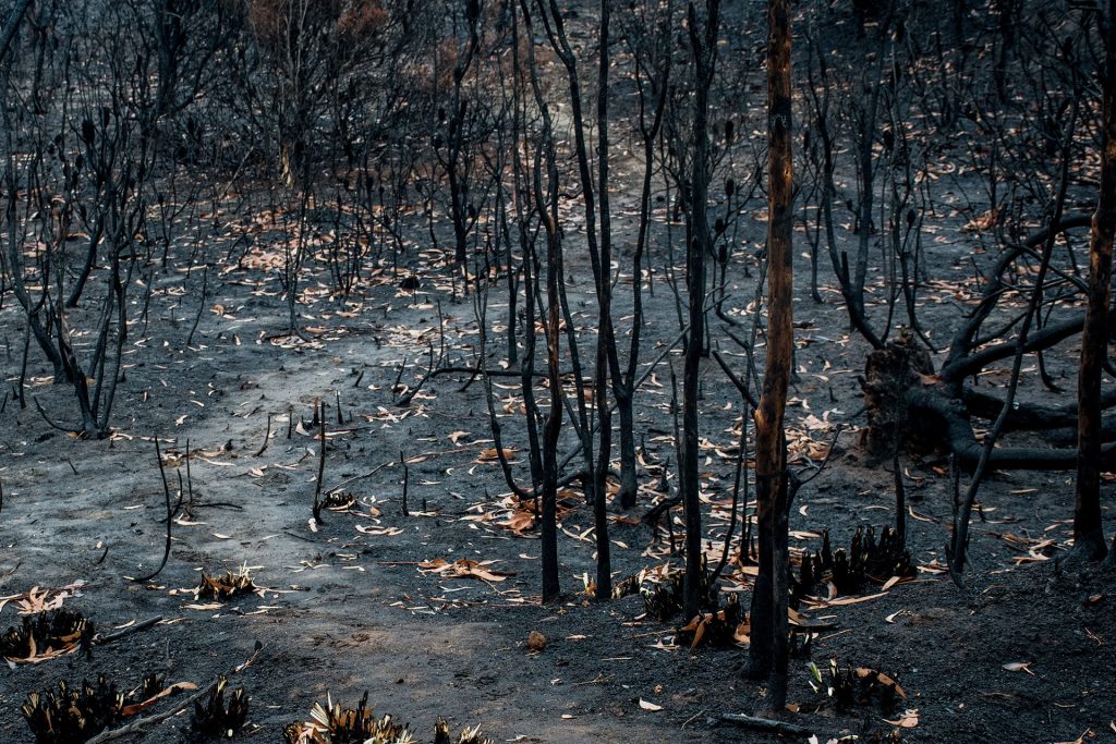 Los incendios forestales vuelven a afectar a Talavera y su comarca