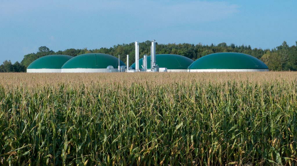 ¿Está preparada Talavera para convertirse en la capital del biometano? Cuatro macroplantas proyectadas abren un conflicto político, vecinal y ambiental.