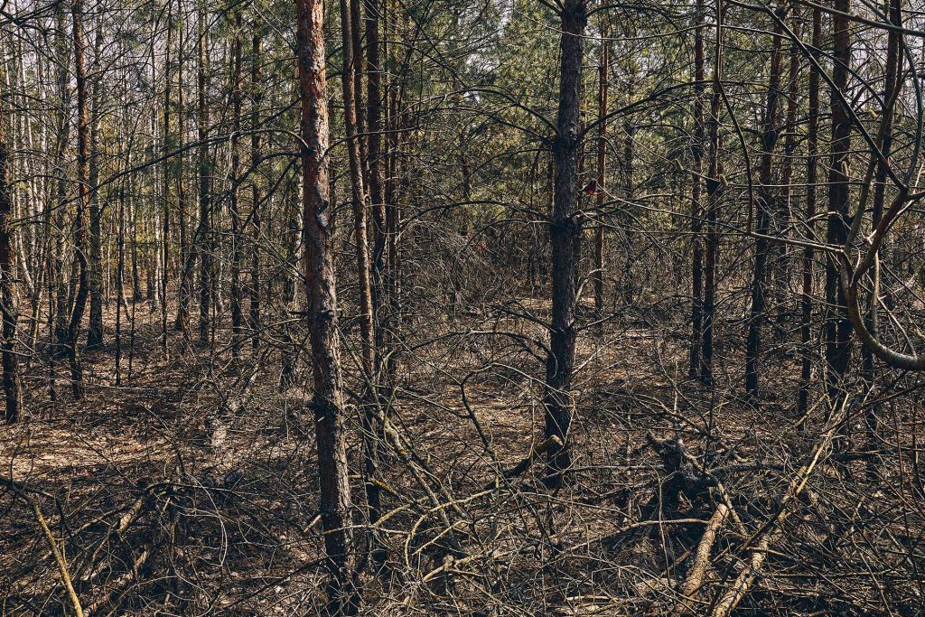Cuando la naturaleza habla, no miente