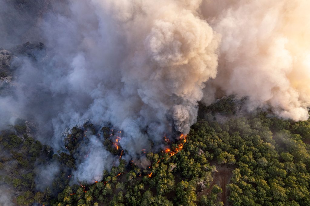 Castilla-La Mancha frente al fuego: los incendios que hacen reflexionar a toda una región