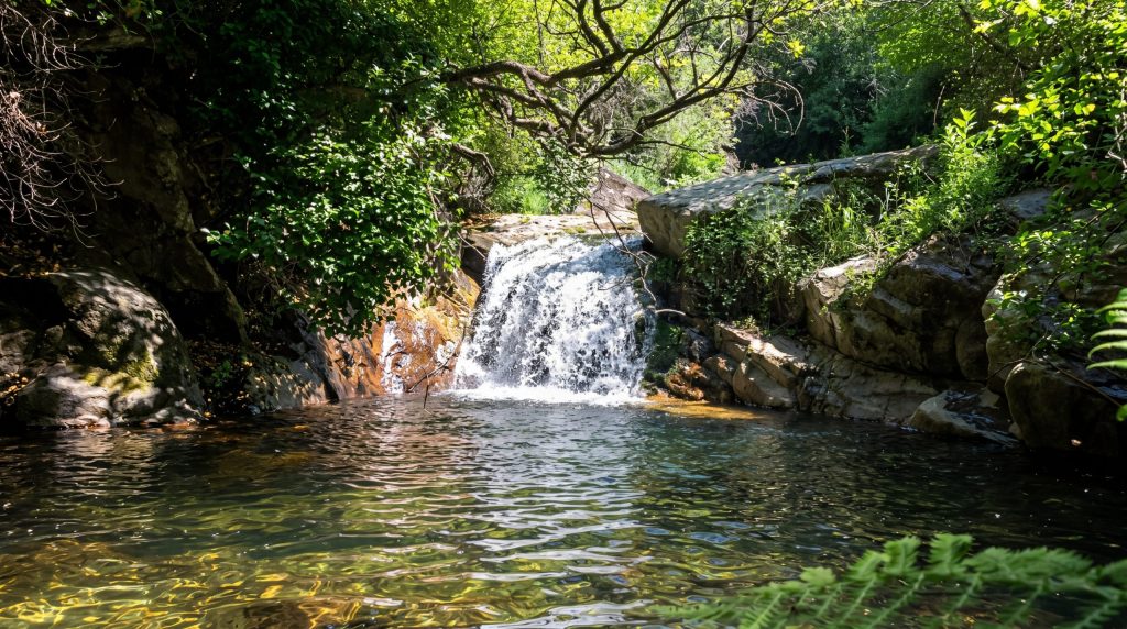 Piscina Natural Vadillo