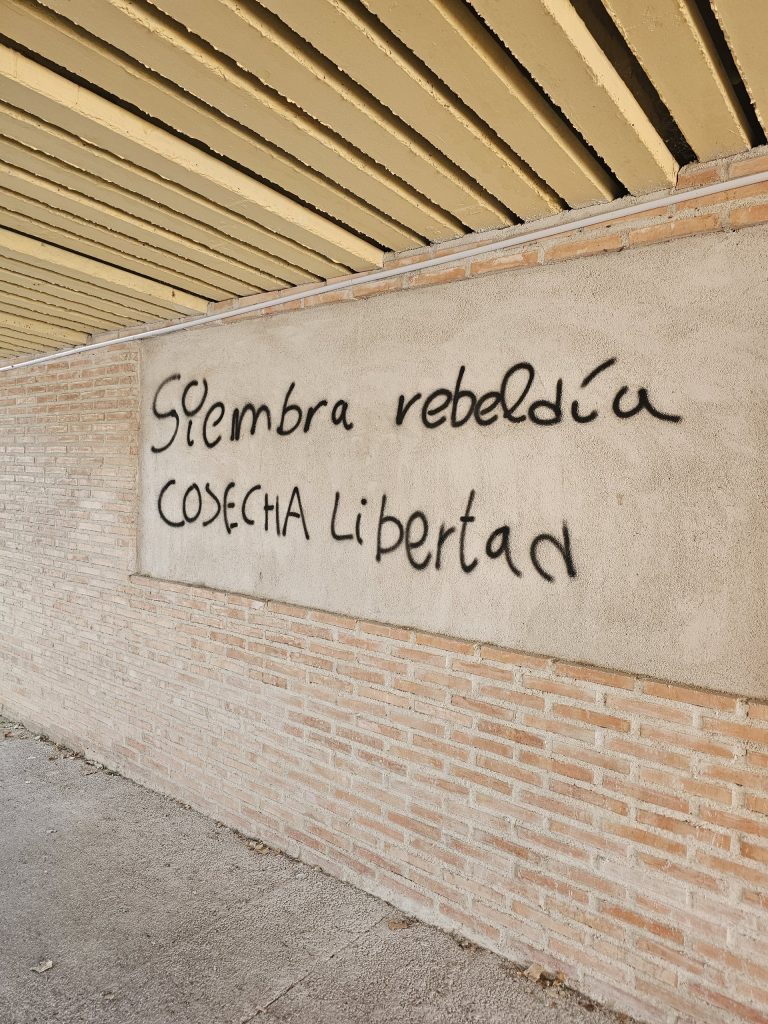 El vandalismo ensombrece el paso entre la Alameda y la Ronda del Cañillo