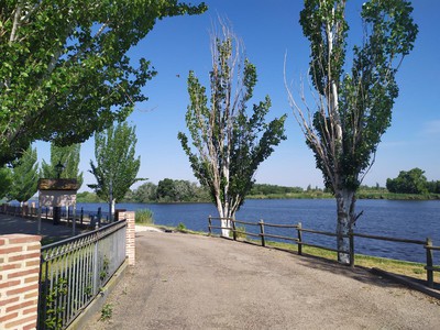 Ruta de los Castillos en Las Herencias: un paseo entre naturaleza, barrancos y las mejores vistas del río Tajo