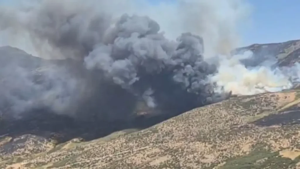 El incendio de Burgohondo recupera la estabilidad tras sufrir varios rebrotes presuntamente intencionados